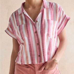Striped Pink and White Women's Top